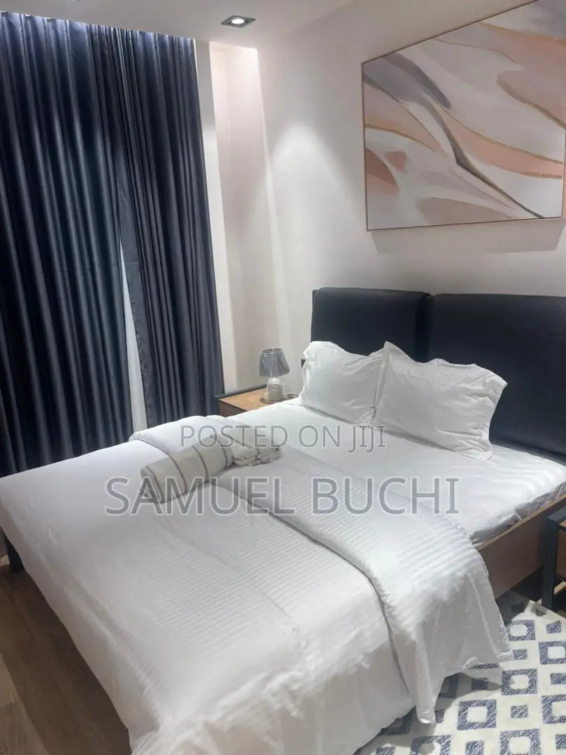 Furnished 3bdrm Apartment in D-Psalmsit Consult, Oxford Street for rent