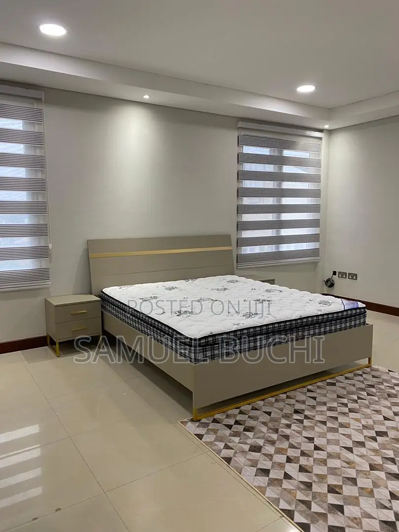 Furnished 3bdrm Apartment in D-Psalmsit Consult, Oxford Street for rent