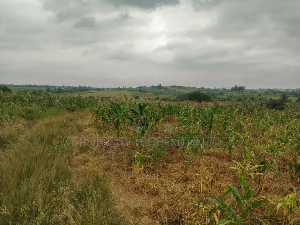 Environment Friendly Land for Sale