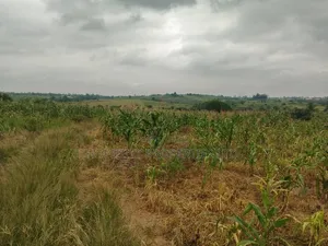 Environment Friendly Land for Sale