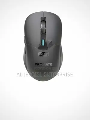 Rechargeable Mouse