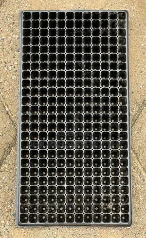 Seedling Tray