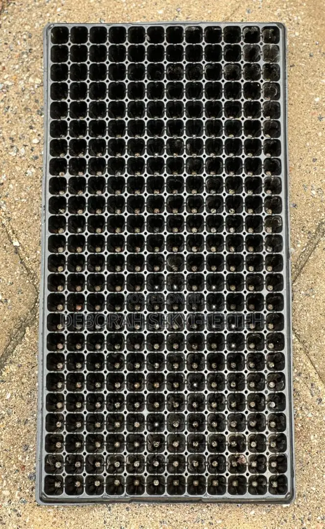 Seedling Tray