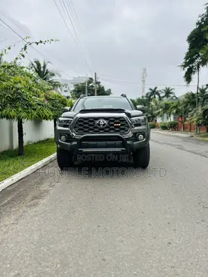 Toyota Tacoma 2019 Gray