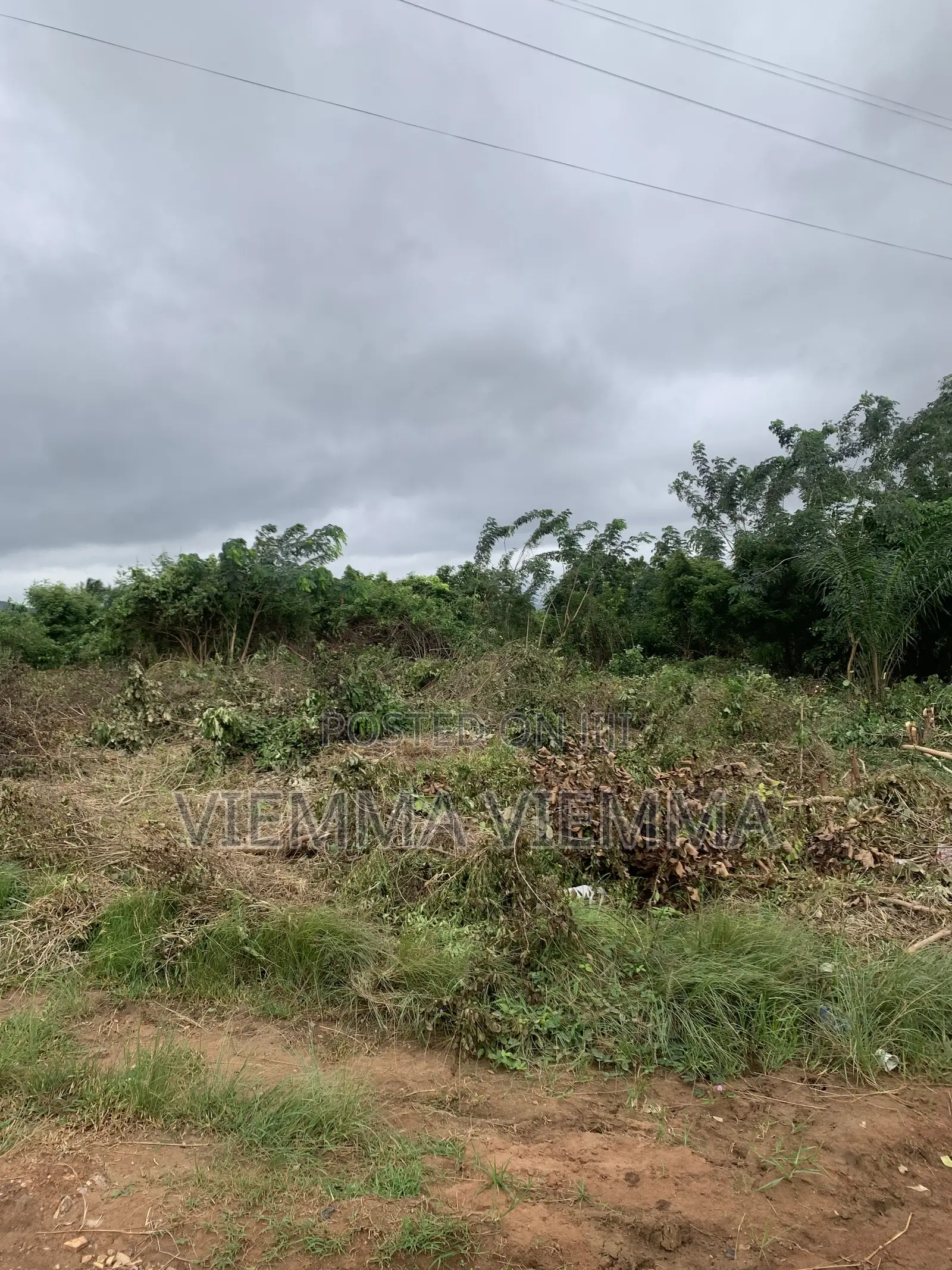 1 Plot With Documents for Sale.