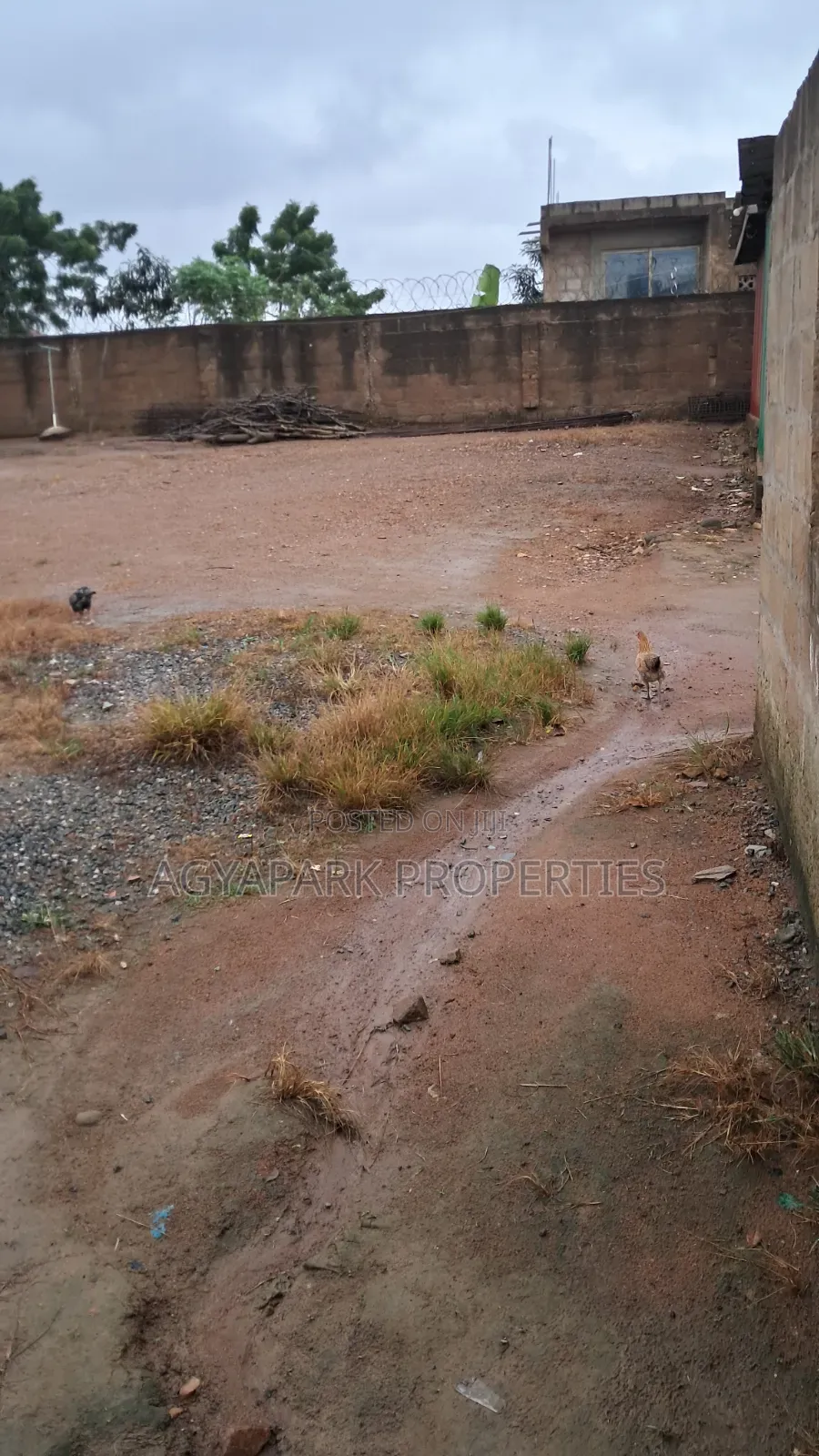 Half Plot of Land at Amasaman Obeyeyie Roadside for Sale