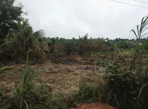 Filling Station Land for Sale at Mankranso Asempaneye