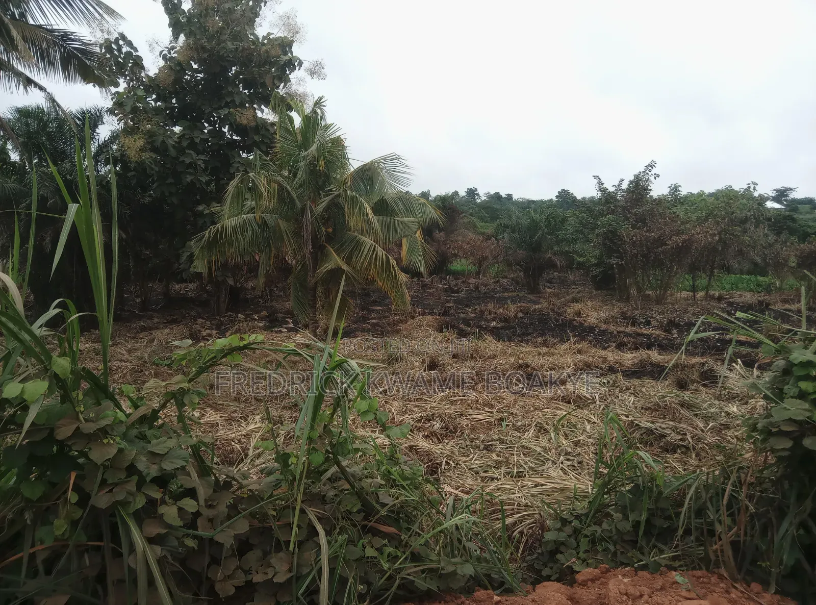 Filling Station Land for Sale at Mankranso Asempaneye