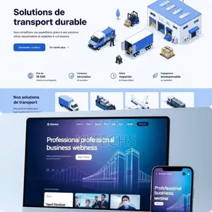 Professional Business Website Design Development in Ghana