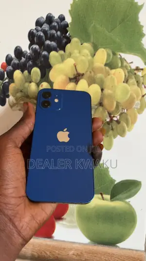 Apple iPhone 12 64 GB Blue