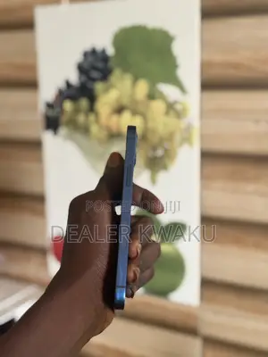 Apple iPhone 12 64 GB Blue