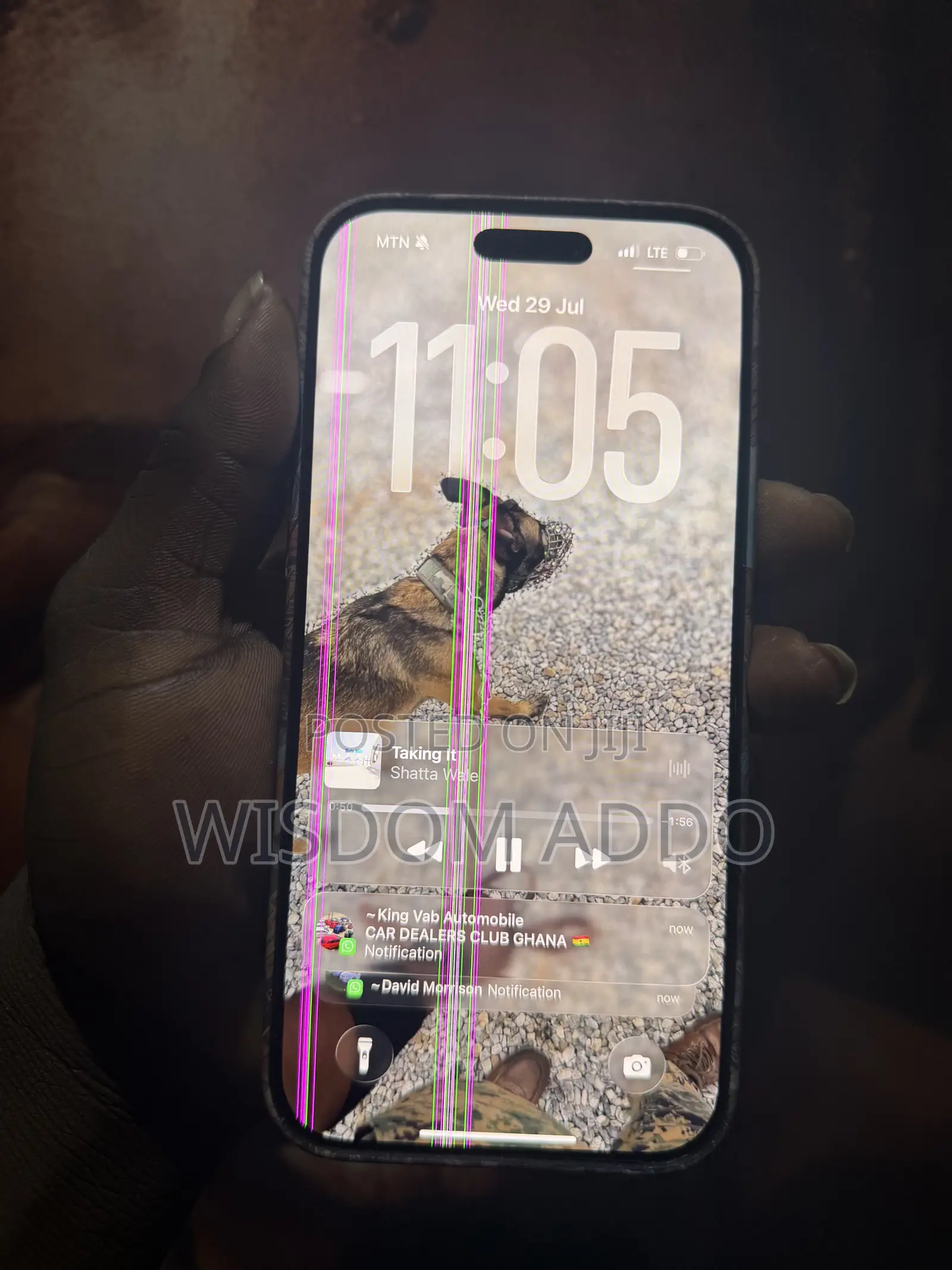 Apple iPhone 16 Pro Max 256 GB Silver