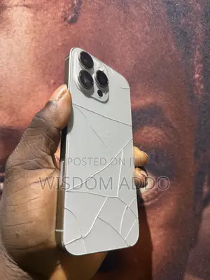 Apple iPhone 16 Pro Max 256 GB Silver