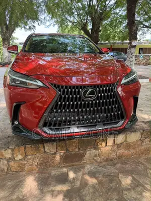 Lexus NX 250 2023 Red