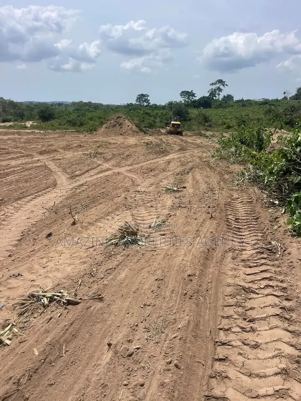 4 and Half Acres of Land Available for Sale at Cantoment