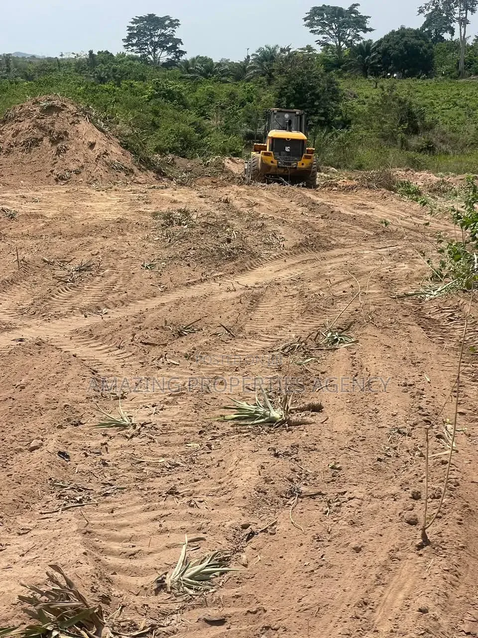 4 and Half Acres of Land Available for Sale at Cantoment
