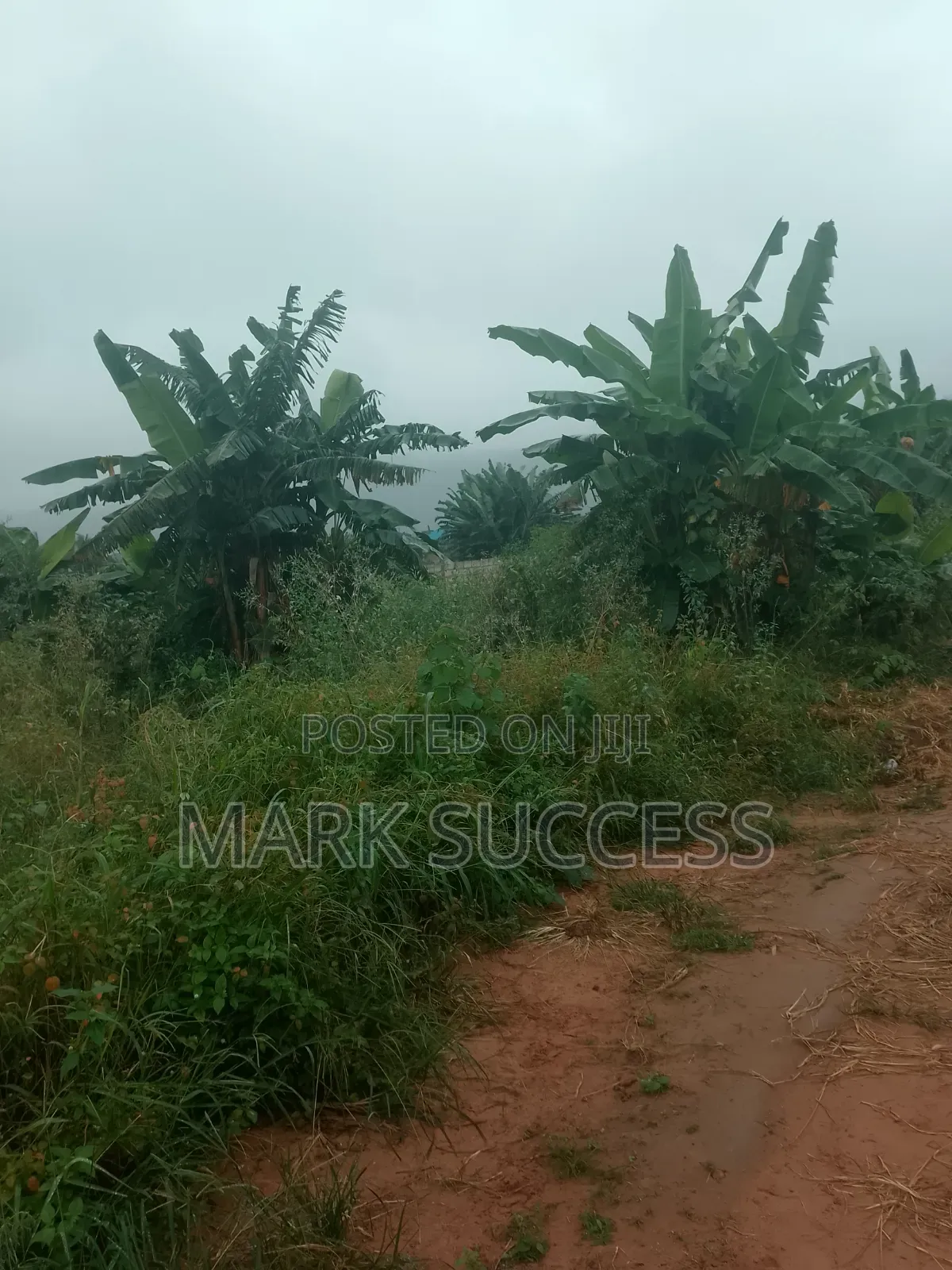 Title Plot of Land at Pokuase
