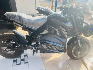 Electric Bike. Reverse Gear. 2000W Motor and Tubeless Tires Brand New