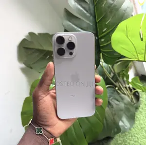 Apple iPhone 16 Pro Max 256 GB Gray