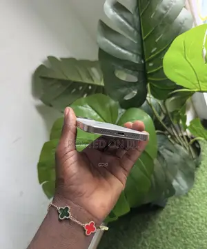 Apple iPhone 16 Pro Max 256 GB Gray