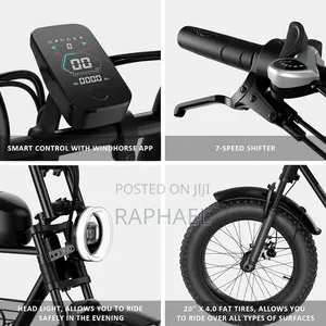 Quality WindHorse Ebike
