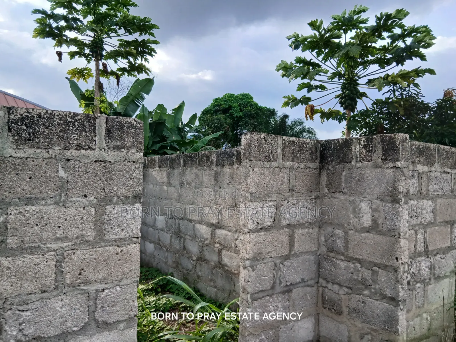 Third Plot on Road Side FOR Sale