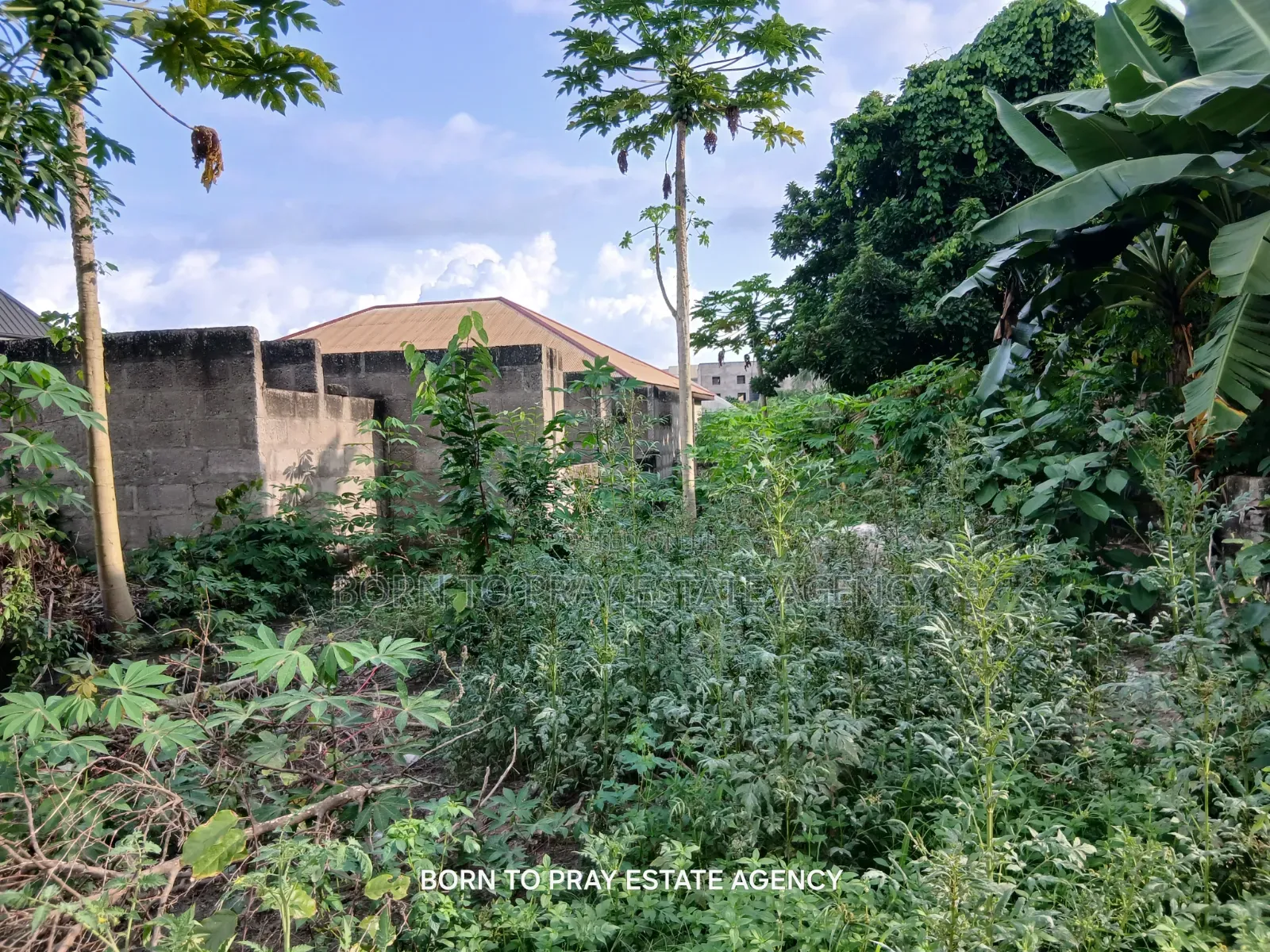 Third Plot on Road Side FOR Sale