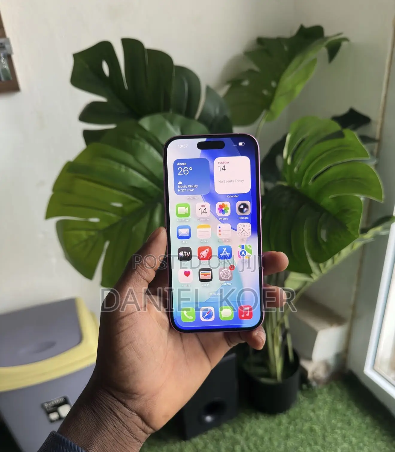 Apple iPhone 16 256 GB Pink