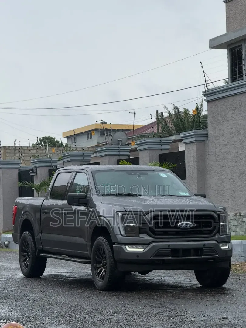 Ford F-150 2021 Gray