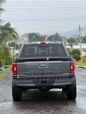 Ford F-150 2021 Gray