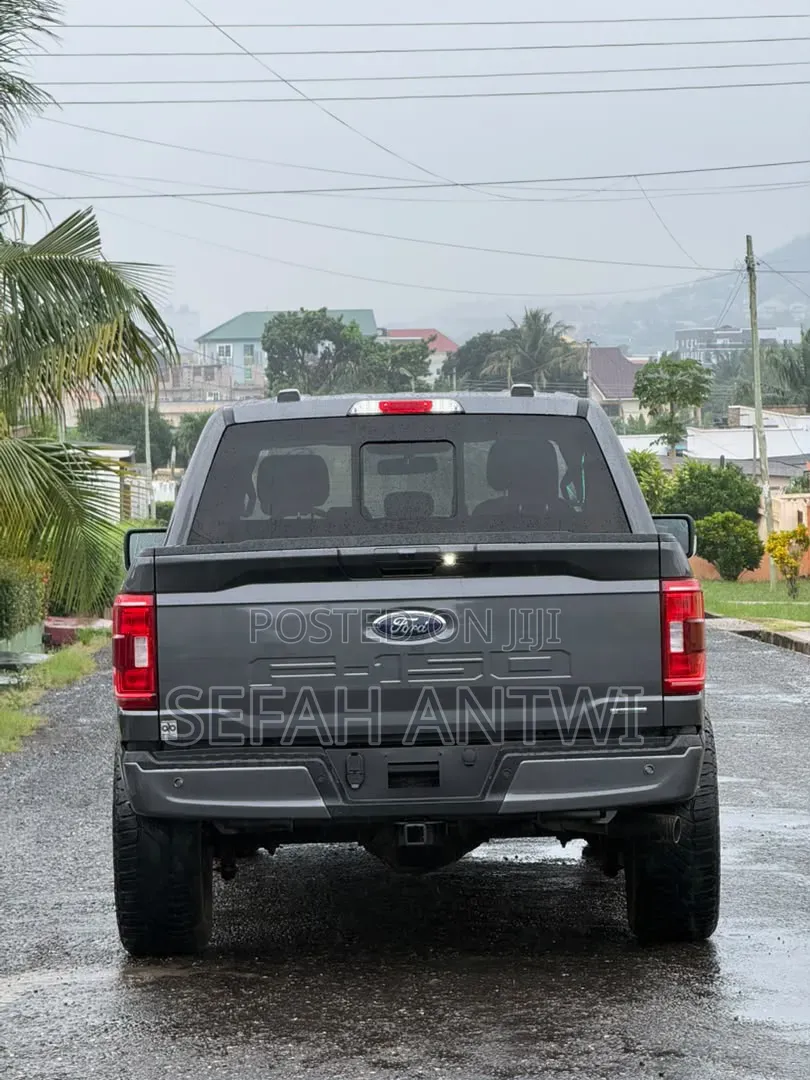 Ford F-150 2021 Gray
