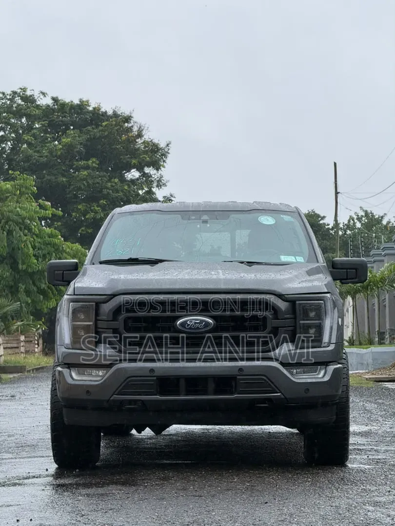 Ford F-150 2021 Gray