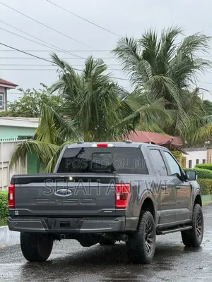 Ford F-150 2021 Gray