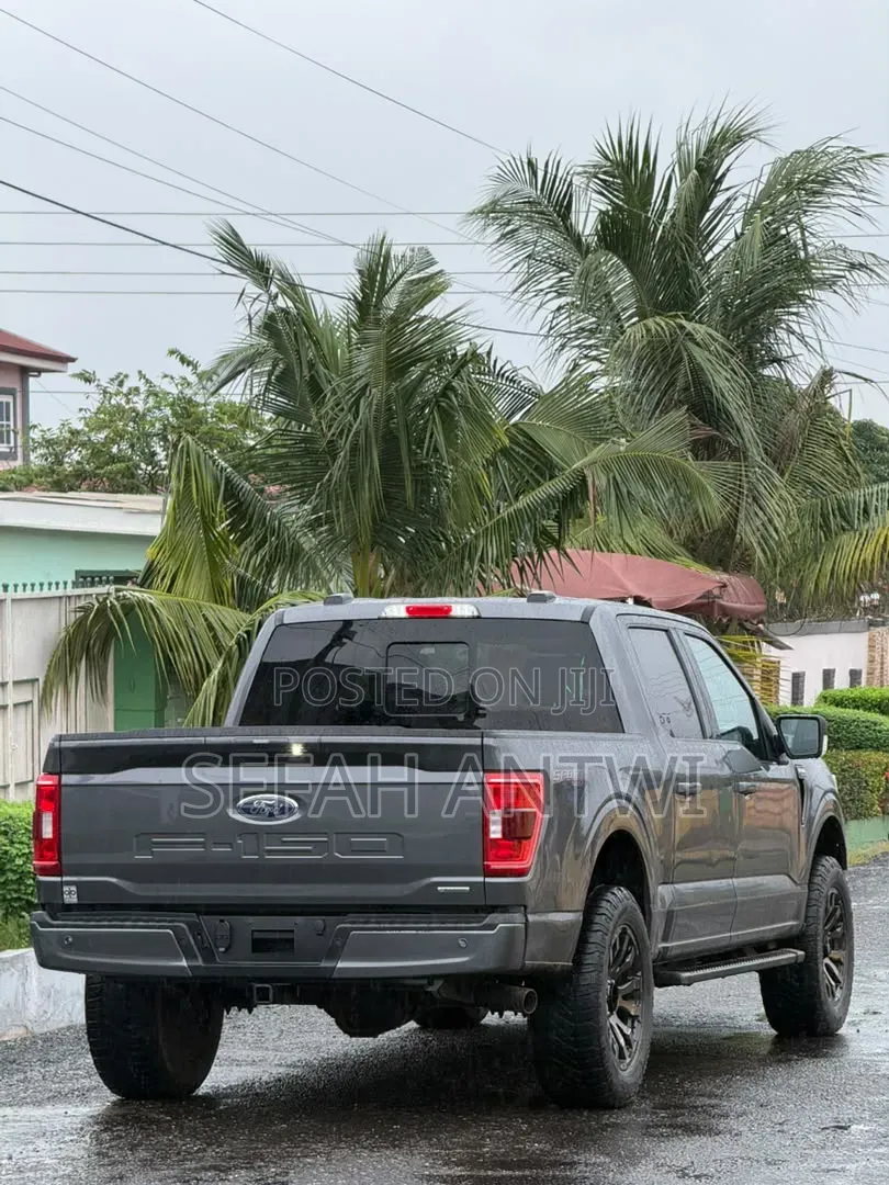 Ford F-150 2021 Gray