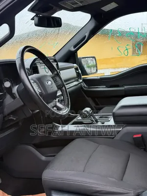 Ford F-150 2021 Gray