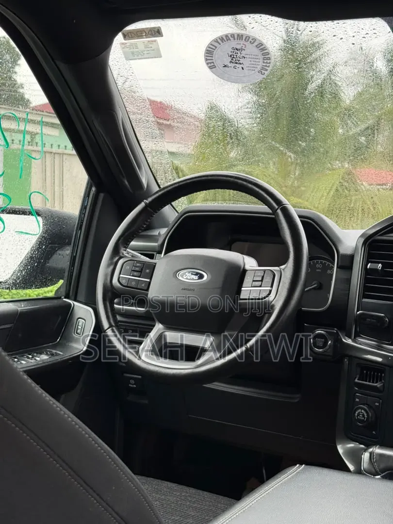 Ford F-150 2021 Gray