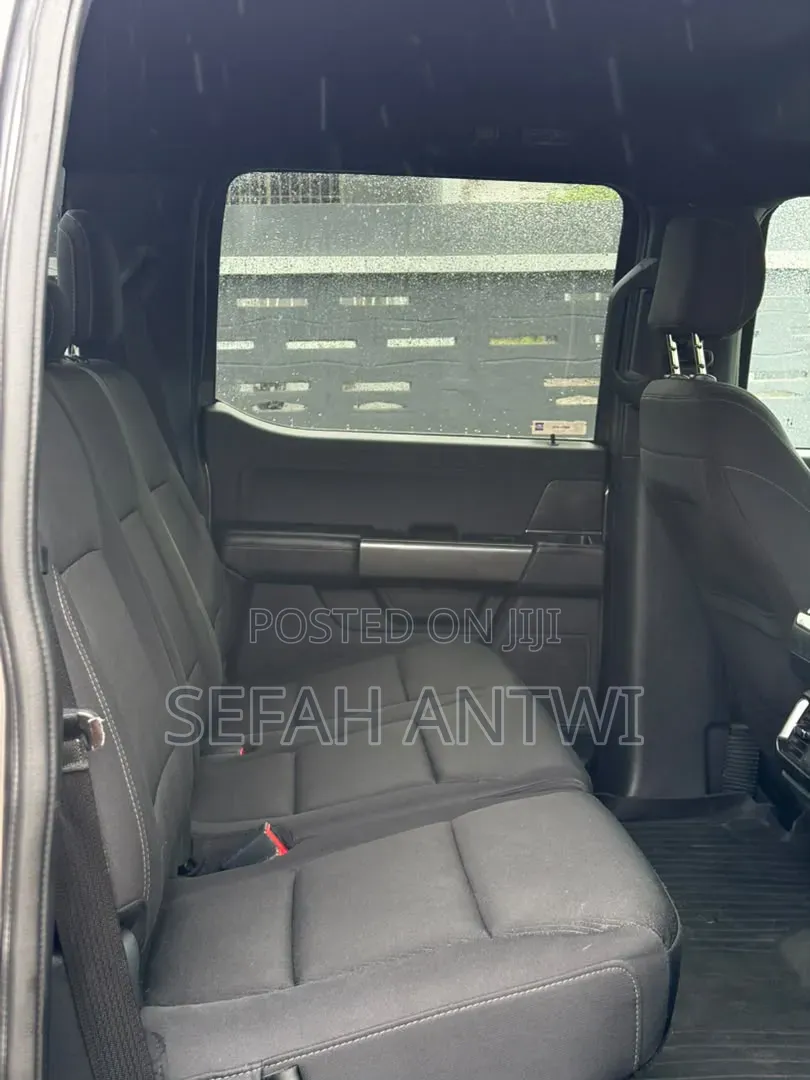 Ford F-150 2021 Gray