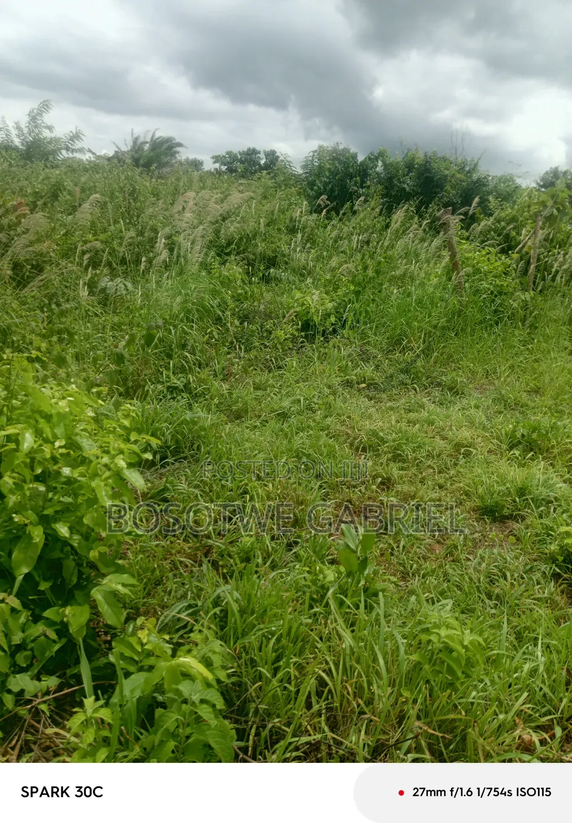 Agriculture and Farm Land