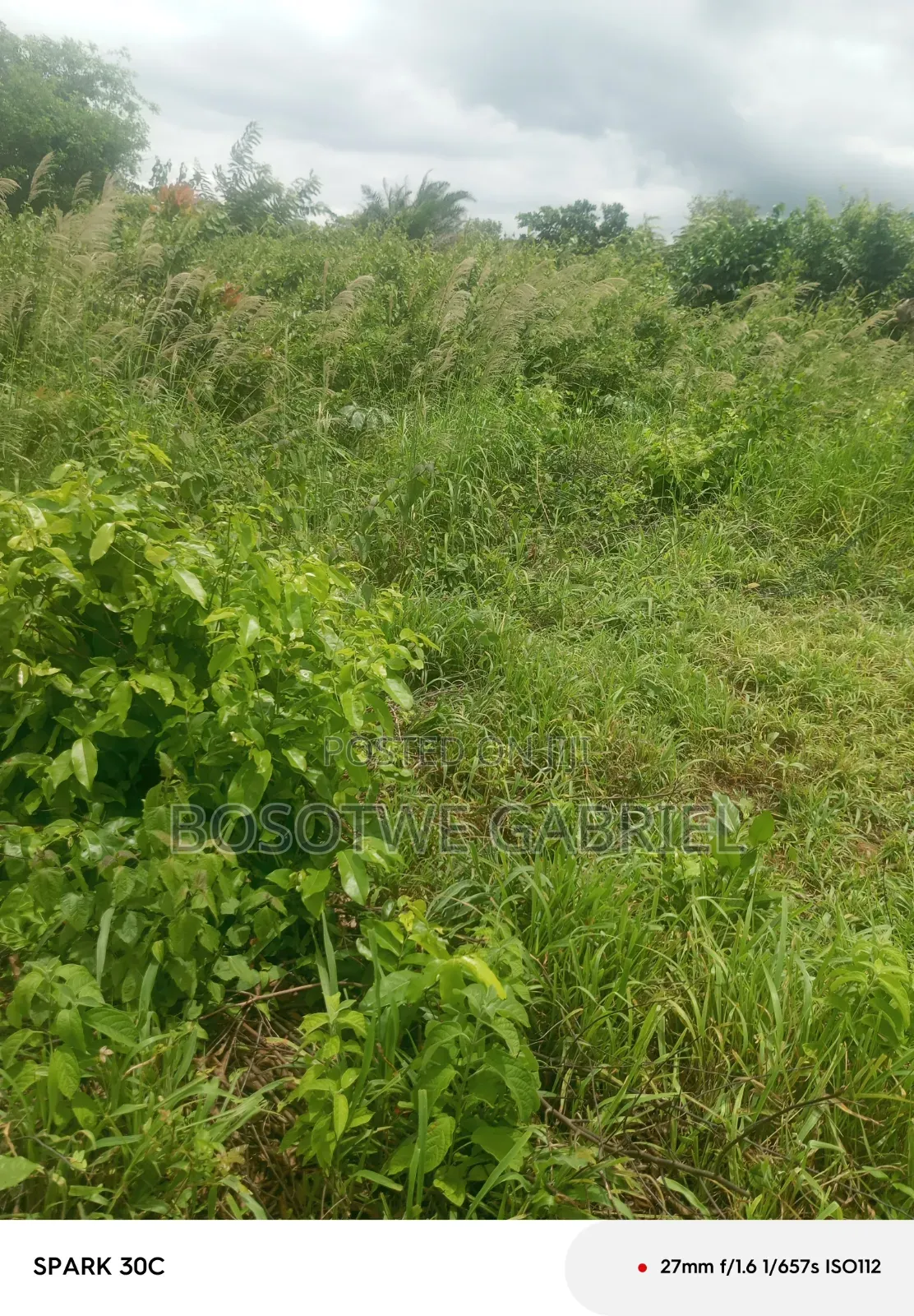 Agriculture and Farm Land