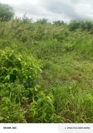 Agriculture and Farm Land