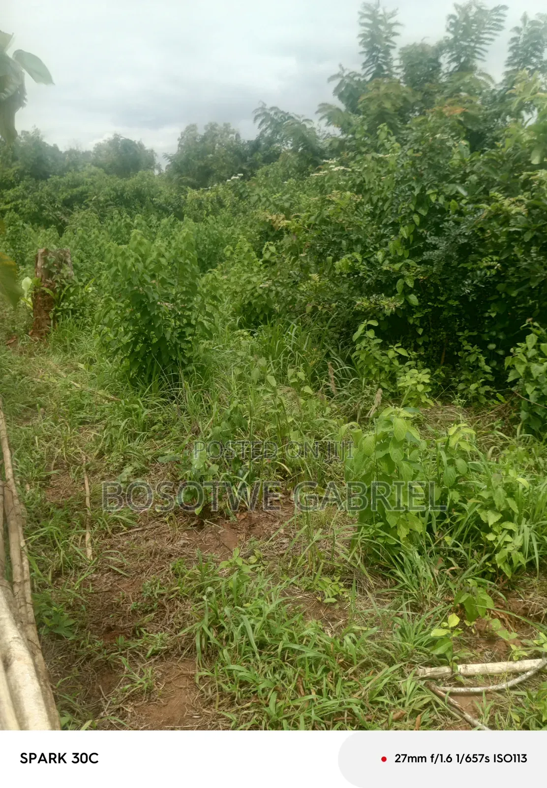 Agriculture and Farm Land