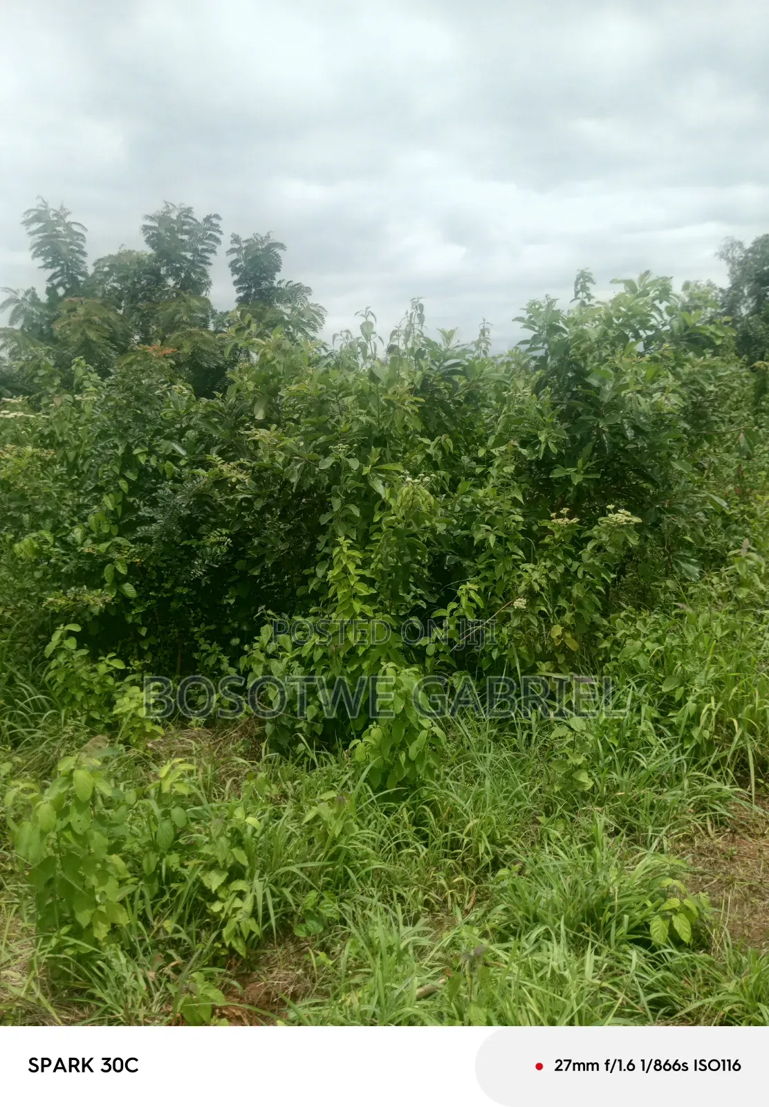 Agriculture and Farm Land
