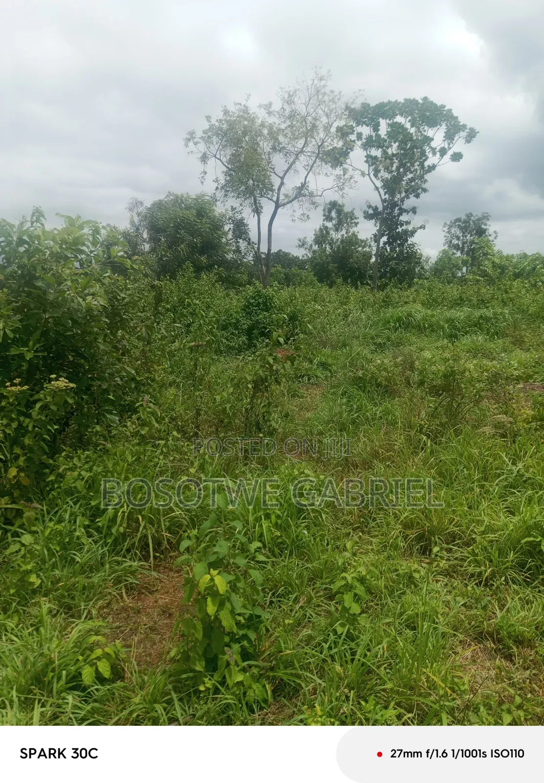 Agriculture and Farm Land