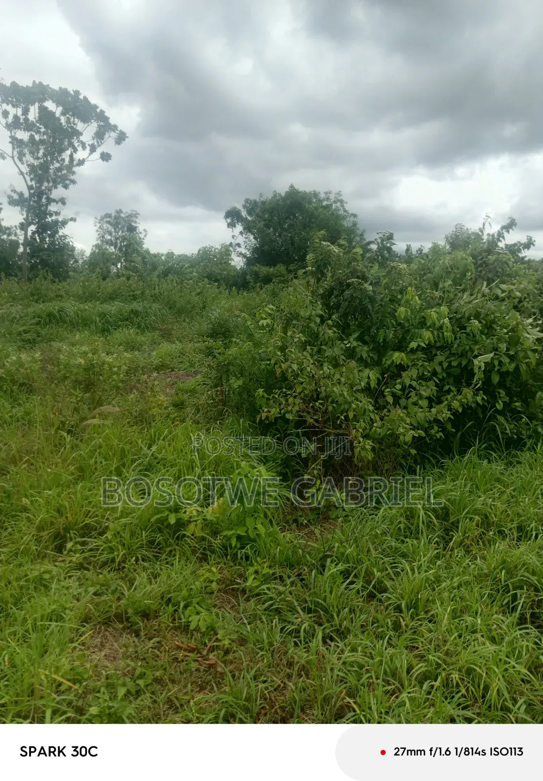 Agriculture and Farm Land