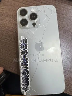 Apple iPhone 15 Pro Max 256 GB Gray