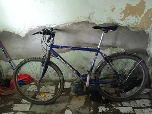 Homeused Bicycle