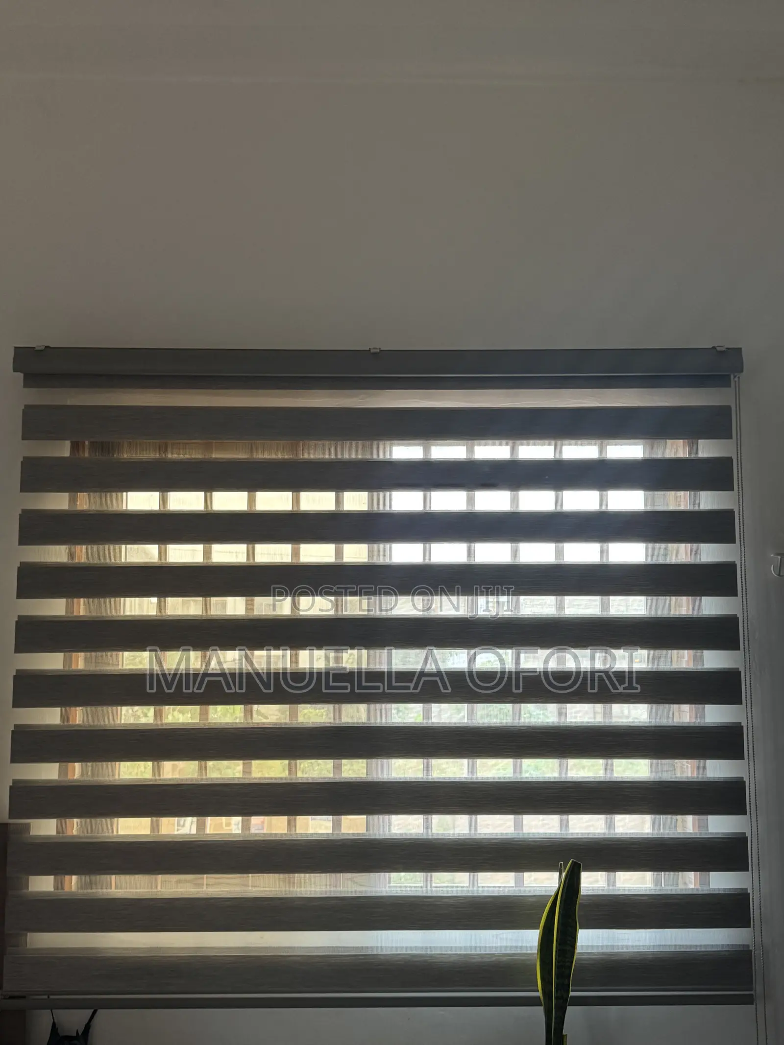 Blinds / Shades
