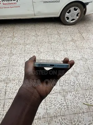 Apple iPhone 15 Pro Max 256 GB Silver