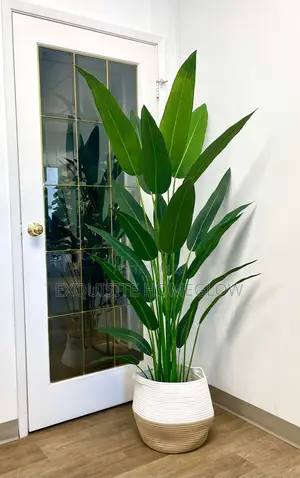 Faux Bird of Paradise (160cm)