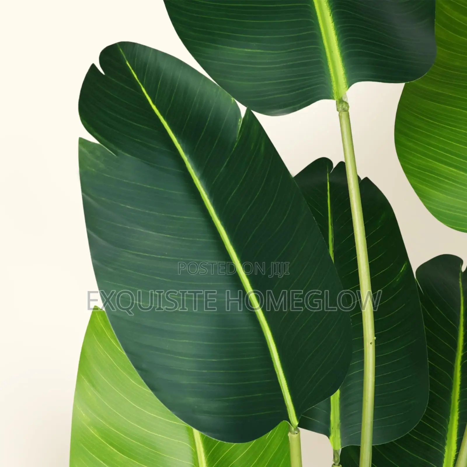 Faux Banana Plant Available in 160cm and 180cm